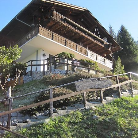 Chalet Erica Appartamento Jaun Esterno foto
