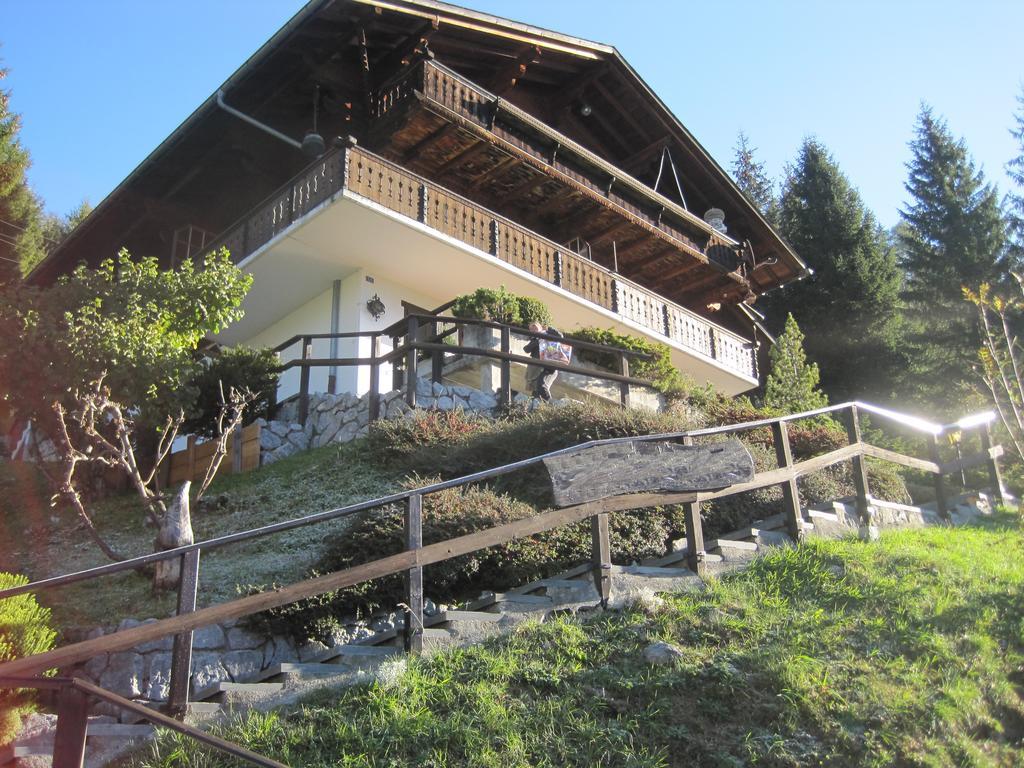 Chalet Erica Appartamento Jaun Esterno foto