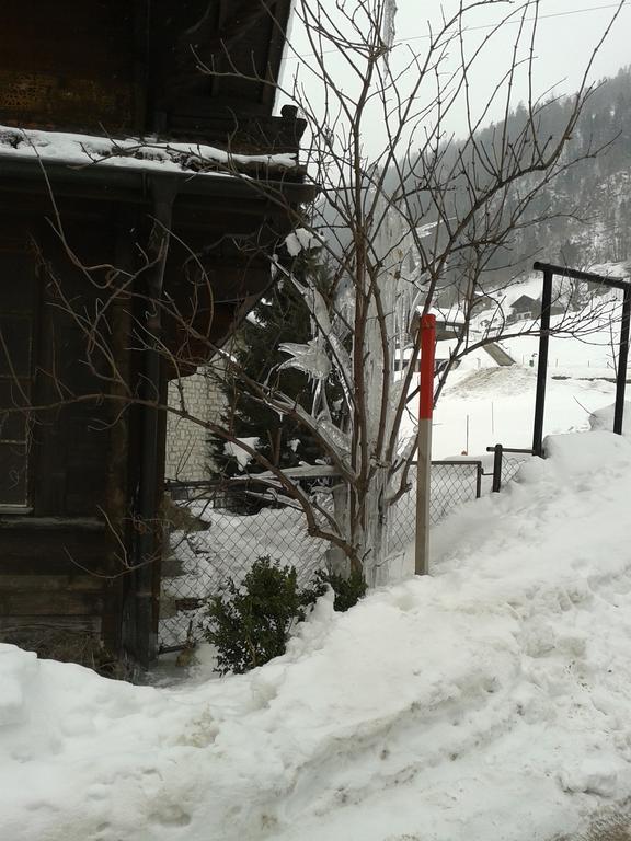 Chalet Erica Appartamento Jaun Esterno foto