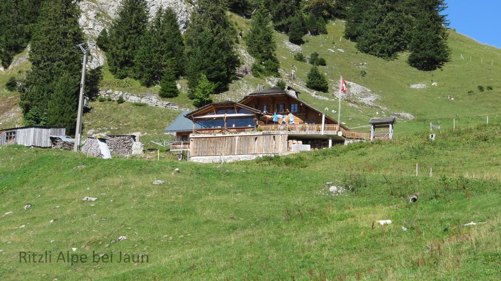 Chalet Erica Appartamento Jaun Esterno foto