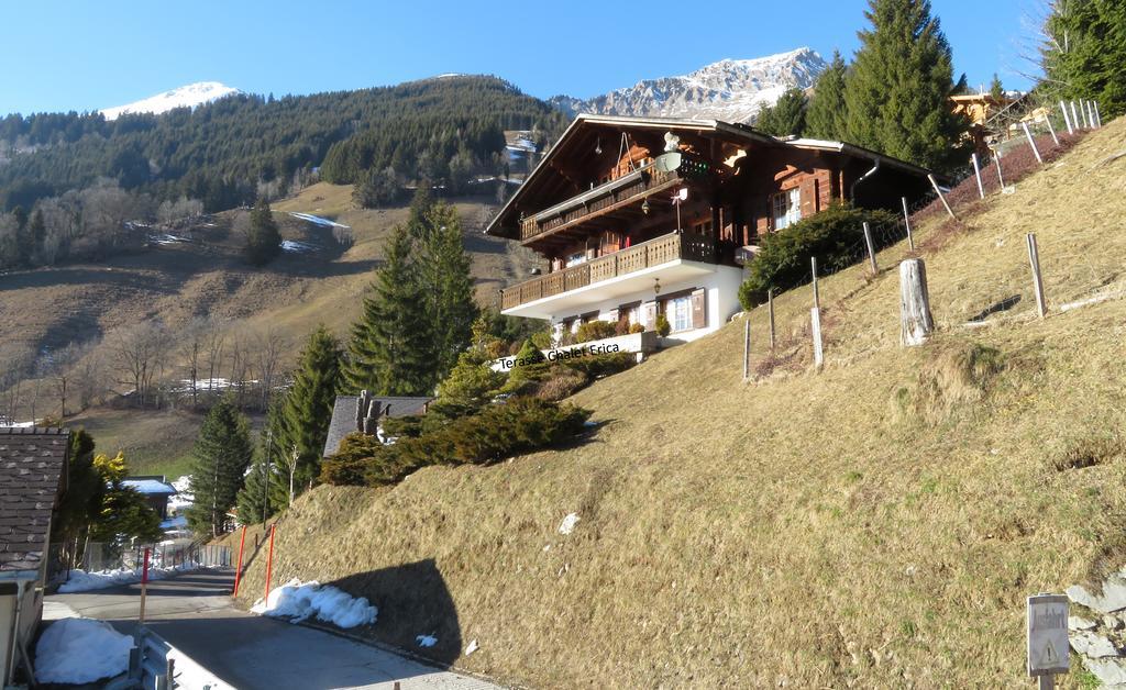 Chalet Erica Appartamento Jaun Esterno foto
